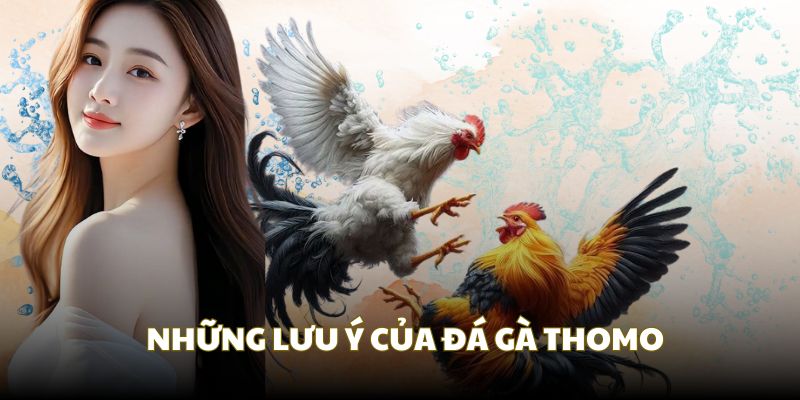 Những lưu ý quan trọng bật nhất khi tham gia Thomo