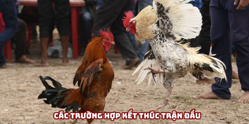 Có nhiều kết quả trong một trận chiến Có nhiều kết quả trong một trận chiến