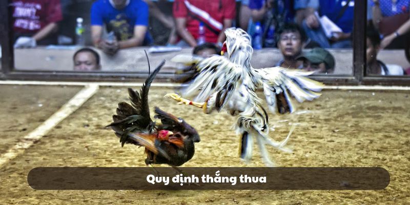 Những trường hợp xác định kết quả thắng thua của trận đấu